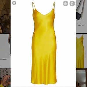 Dannijo silk midi slip dress